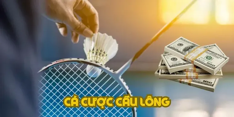Bí Kíp Cá Cược Cầu Lông Tại Daga Cho Người Chơi Mới