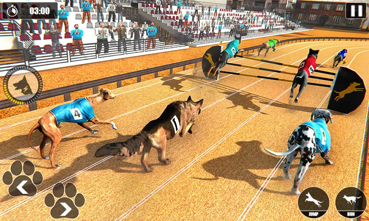 Cách Chơi Game Nhanh Đua Chó Tại Daga Hiệu Quả Nhất 2 Cách Chơi Game Nhanh Đua Chó Tại Daga Hiệu Quả Nhất
